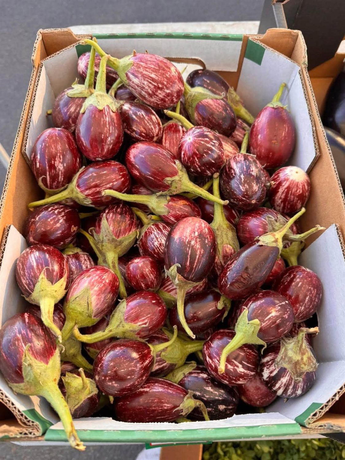 Baby Eggplant