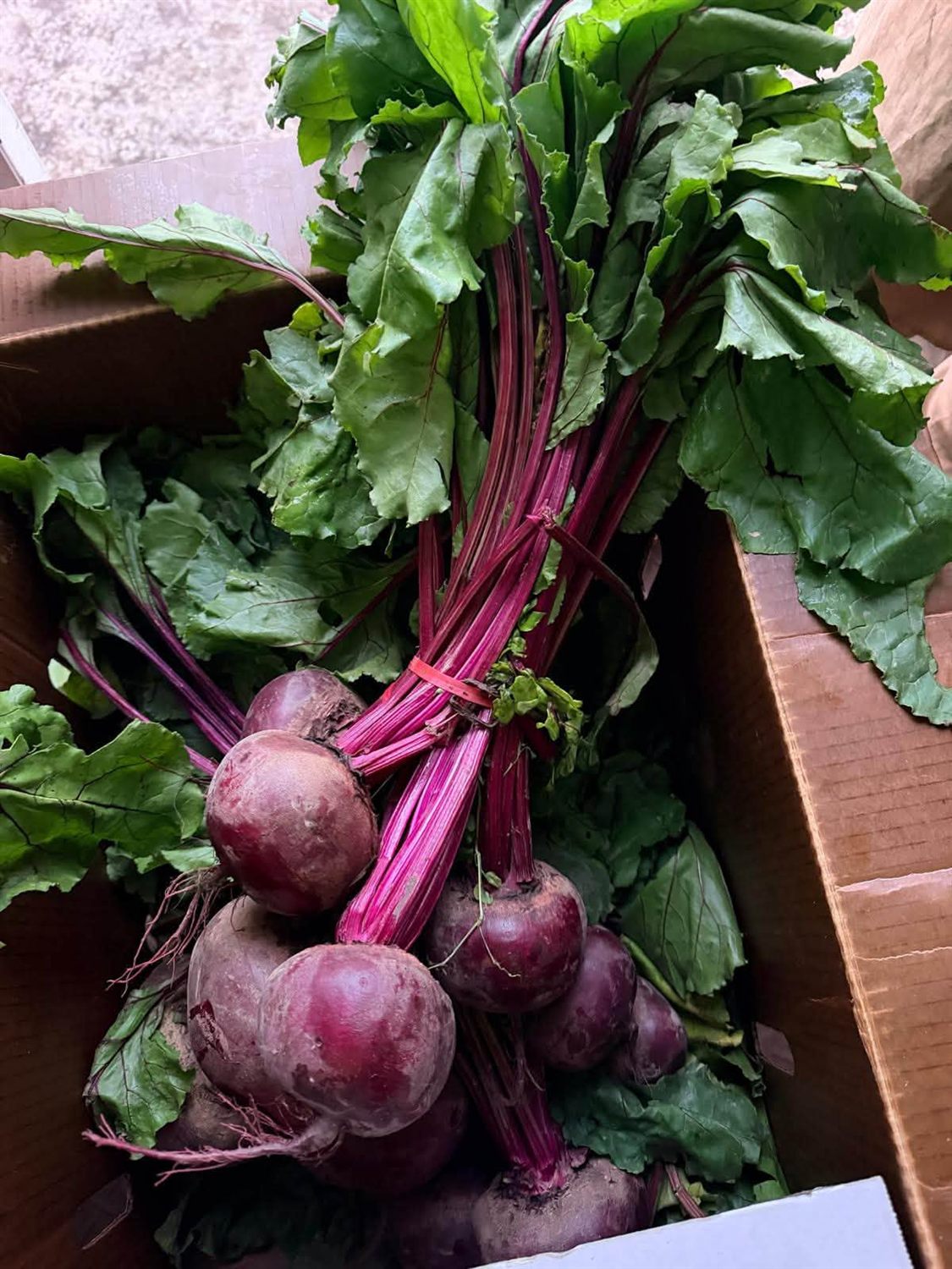 Beetroot