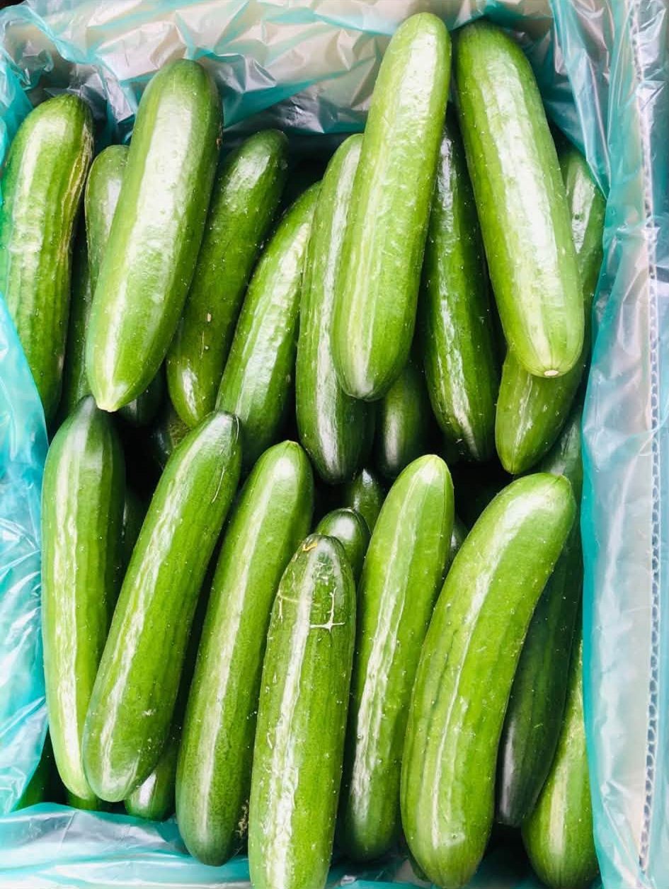 Cucumbers