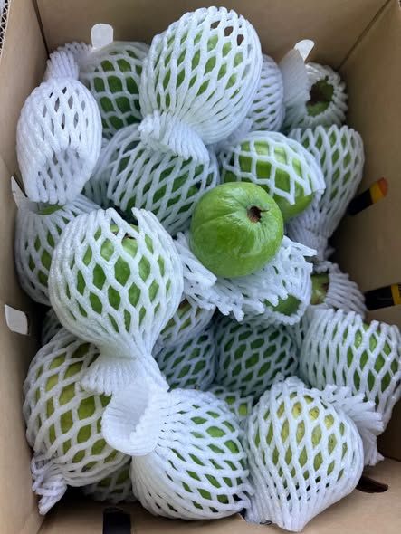 Guava