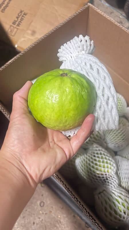 Guava