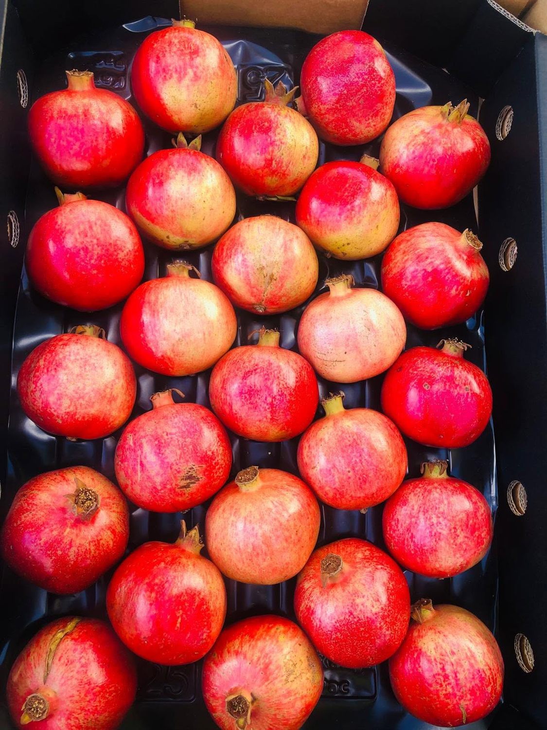 Pomegranates