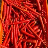 Red Chilli