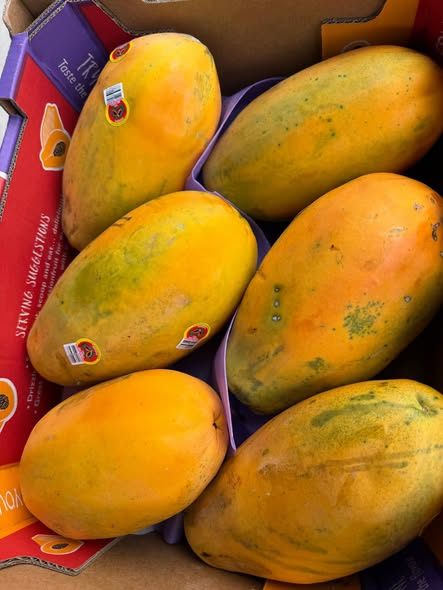 Red Papaya